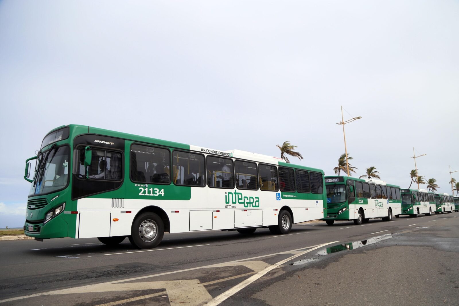 Transporte Público