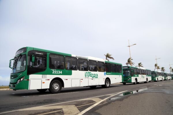 Transporte Público